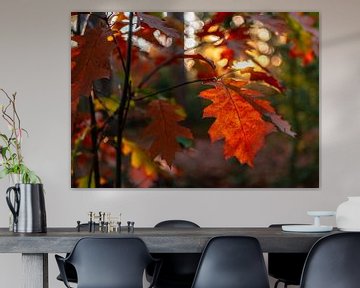 Close-up van rode herfstbladeren met bokeh op de achtergrond