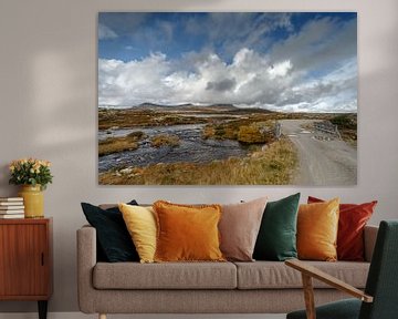 Landschap van Noorwegen tijdens de herfst. van Menno Schaefer