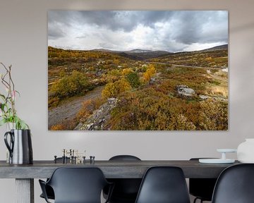 Landschap van Noorwegen tijdens de herfst.