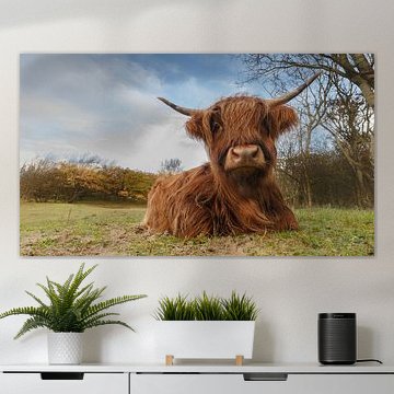 Ein schottischer Highlander in der Nähe