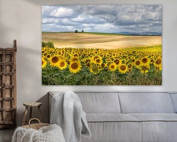 Landschap met zonnebloemen van Art by Fokje
