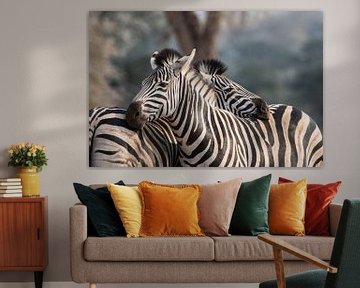 Cuddling Zebras by Riana Kooij