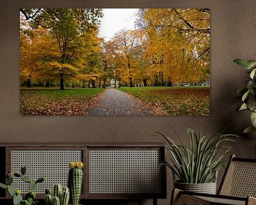 De Haarlemmerhout in volle (herfst) glorie! van Jeroen Somers
