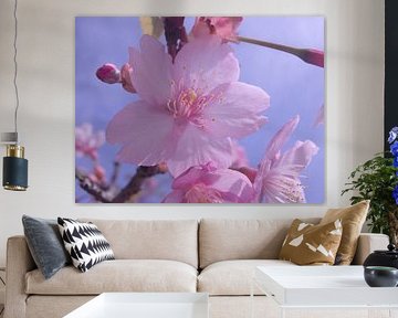 Sakura by Iris Timmermans