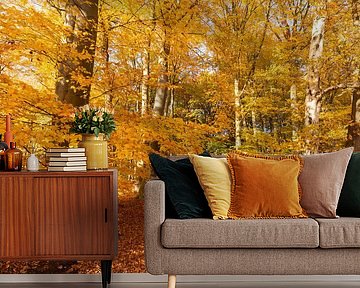 Beukenbos in gouden herfstkleuren