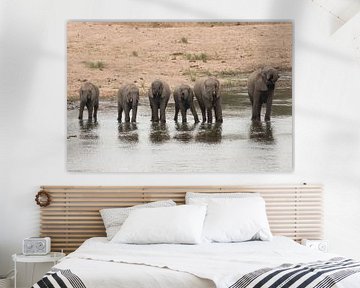 Alle kleine olifantjes op een rij by Riana Kooij