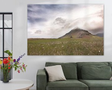 Landschap