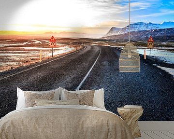 Road on Iceland by Sander Meertins