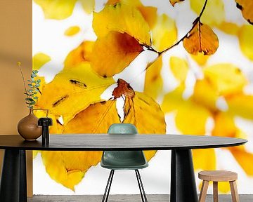 Golden leaves by D. Henriquez