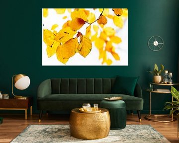 Golden leaves by D. Henriquez