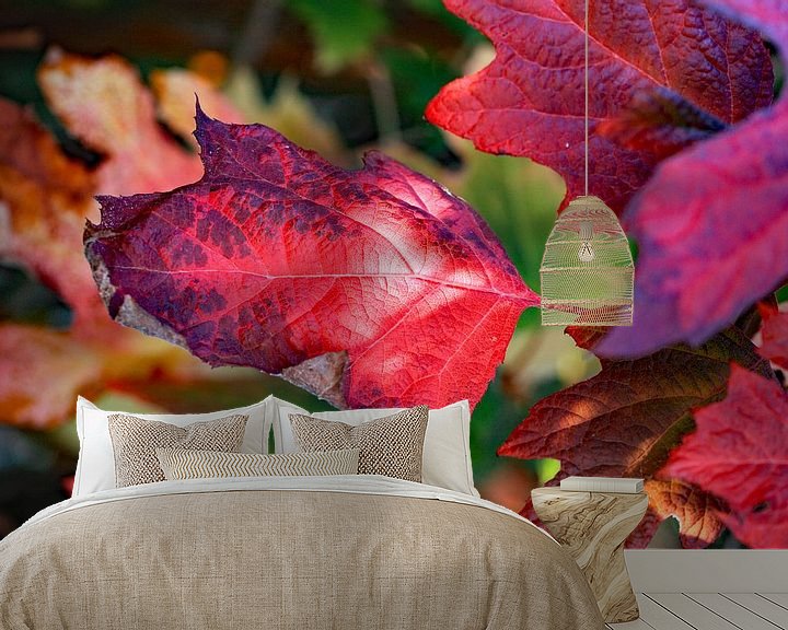 Beispiel fototapete: Rote Herbstfarben von Ludo Verhoeven