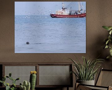 Zeehond en vissersboot van Hanney Bruijn Fotografie