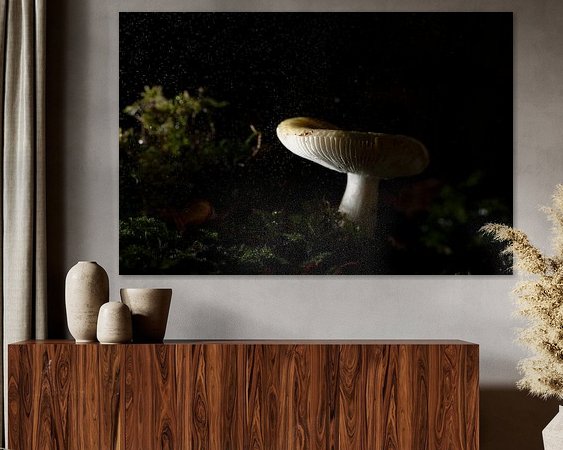 Aperçu de la chambre