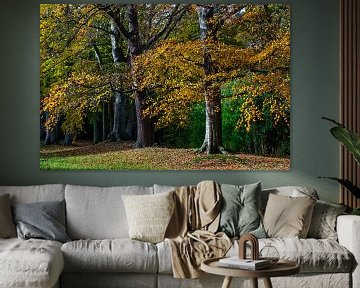 Herbstfarben und fallende Blätter im Wald von Gijs Rijsdijk