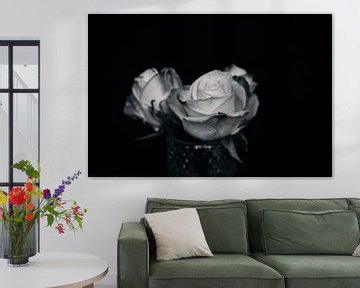 Roses in black and white van Marije Jellema