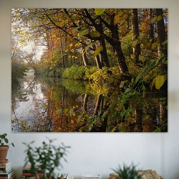 Herfst in Amelisweerd