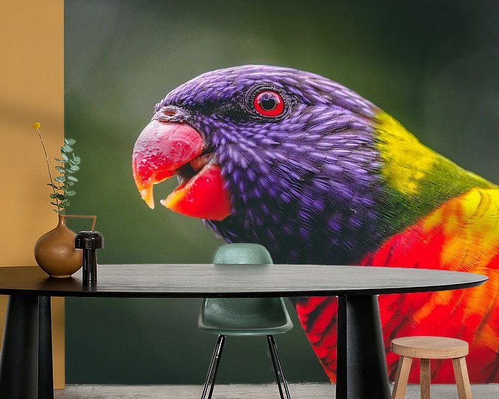 Sfeerimpressie behang: Regenbooglori vogel van Eveline Dekkers