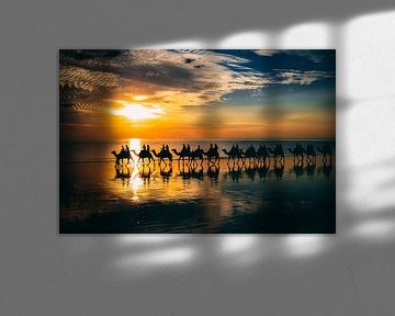Kamelen bij zonsondergang Australië van Eveline Dekkers