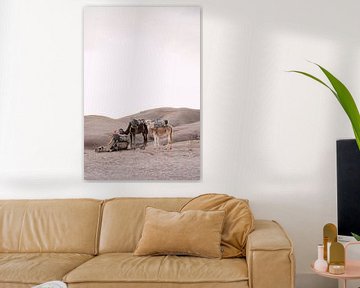 Kamele in der Wüste von Marokko von Yaira Bernabela