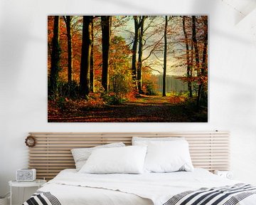 La forêt de Spanders dans ses couleurs d'automne sur Annie Snel