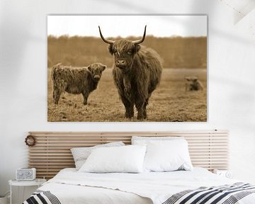 Schottische Highlander sepia von Sascha van Dam