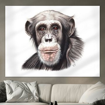 Chimpansee
