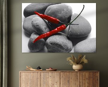 Rode pepers op grijze stenen