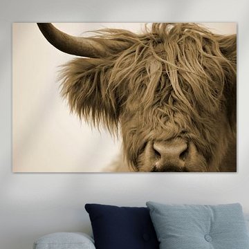 Scottish highlander detail head sepia by Sascha van Dam