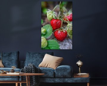 Aardbeien