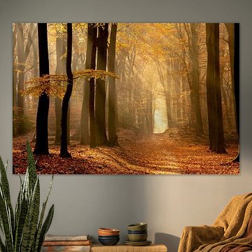 vroege herfstochtend