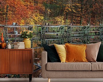 Herfst in het Waterloopbos nabij Marknesse