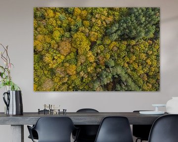 Ein niederländischer Wald in Herbstfarben von oben gesehen von Menno Schaefer