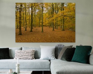 Nederlands bos in herfst kleuren van Menno Schaefer