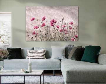 Poppy Field in Pastel Pink van Tanja Riedel