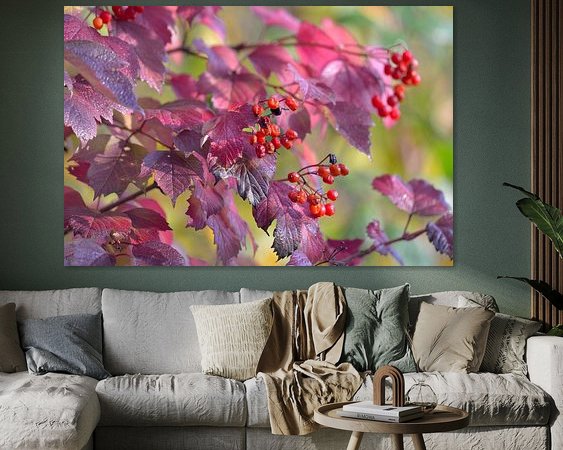 Raumvorschau