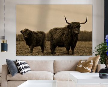 Schotse hooglanders groot met kalf sepia by Sascha van Dam