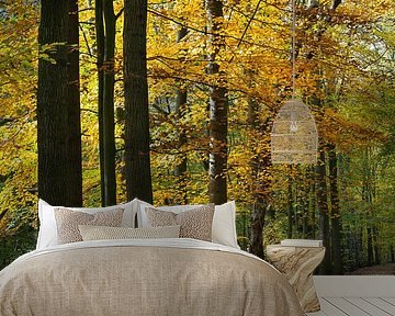 Trees in autumn colors in the Amsterdamse Bos. by Johan Zwarthoed