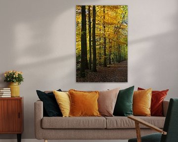 Des arbres aux couleurs de l'automne à Amsterdamse Bos. sur Johan Zwarthoed
