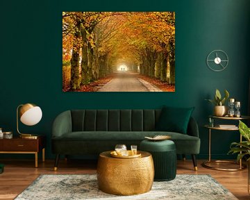 Radweg im Herbst von Caroline Lichthart