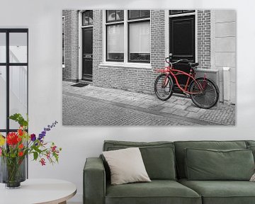 Rode fiets van Elles Rijsdijk