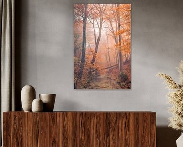 Paysage d'automne néerlandais sur Original Mostert Photography