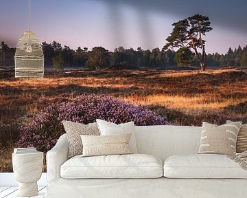 Sunrise by Jeroen Linnenkamp