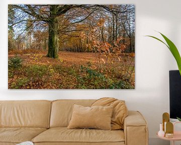 Herfst in het bos ( autumn in the forest) by Helma de With