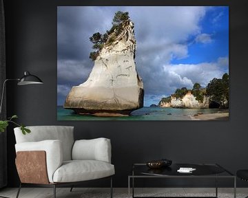 Hoho rots op het strand van Cathedral Cove in Nieuw Zeeland van Aagje de Jong