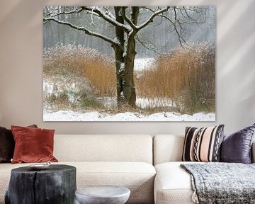 koud landschap met sneeuw van Petra De Jonge