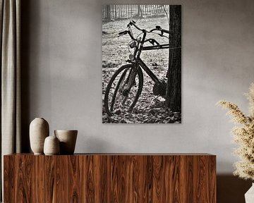 fietsen van Karin Keesmaat Kijk-Kunst