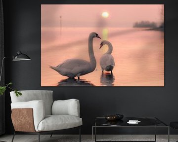 Two Swans by Jan Schuler