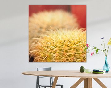 cactus van Karin Keesmaat Kijk-Kunst