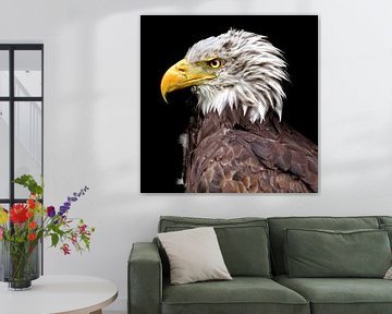 Eagle (version 3) by Dirkjan Dokters