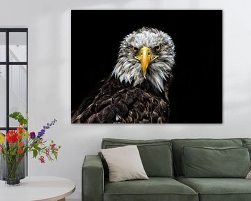 Eagle Version 1 von Dirkjan Dokters